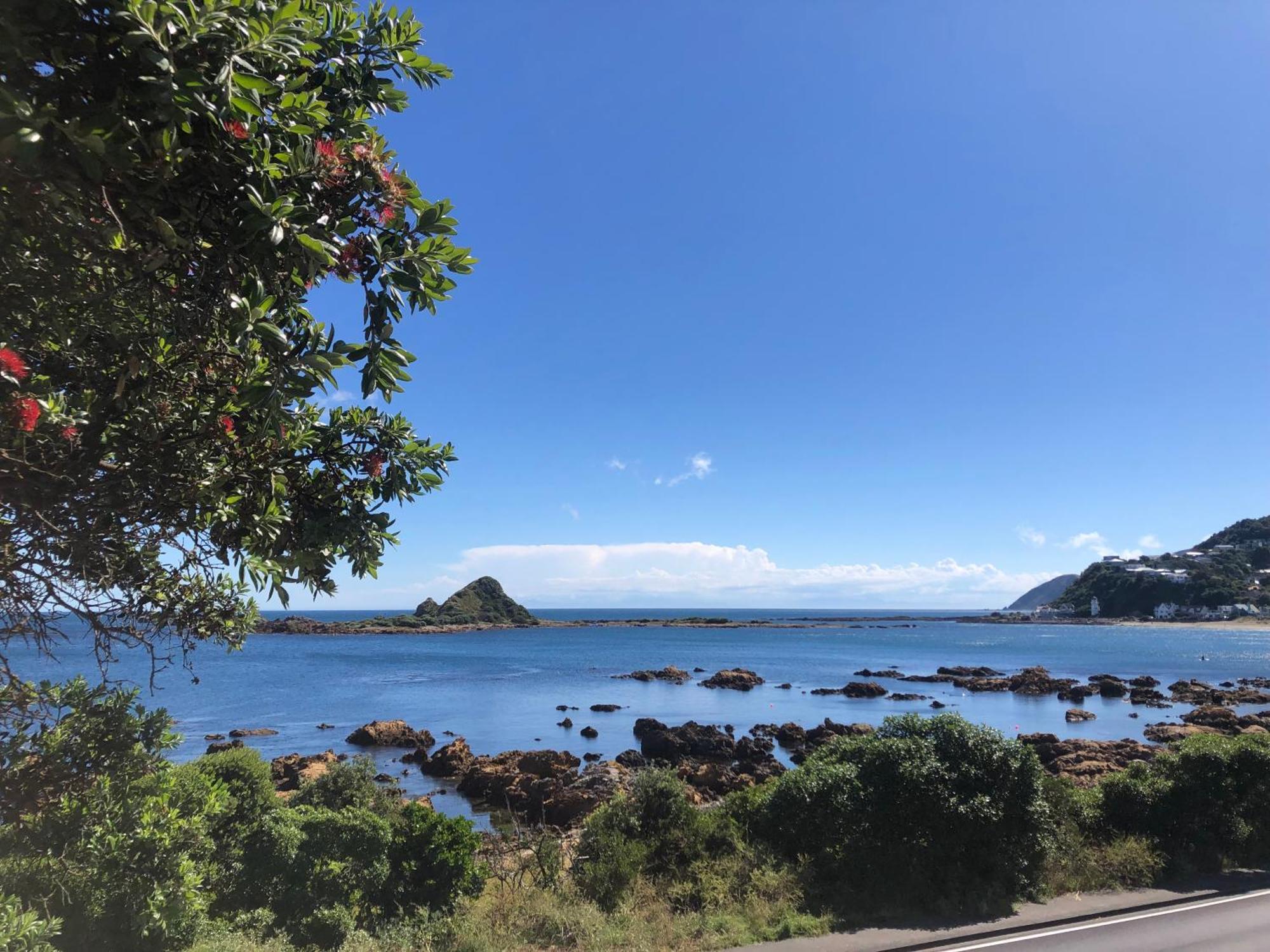 ウェリントンSeafront Haven In Island Bay With Deck, Outdoor Bath, And Parkingアパートメント エクステリア 写真
